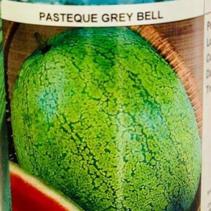 1 POT 500G Semence pastèque
