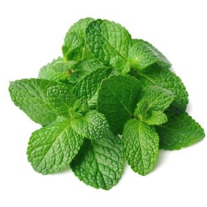Menthe ( nana menth, nana ordinaire) Menthe poivrée ( nana pastille) Menth marocaine ( nana fasse)