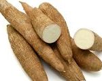 Manioc bio