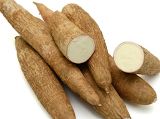 Manioc bio