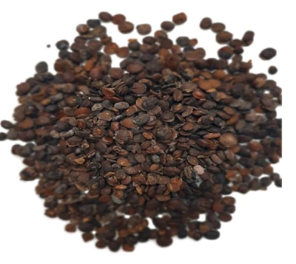 Netetou bio