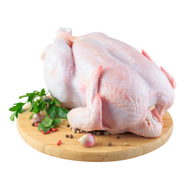 Poulet de chair