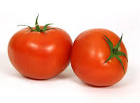 Tomates rondes bio