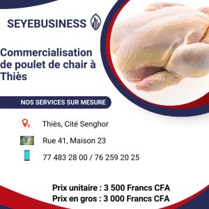 Vente de poulet de chair